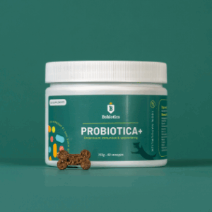 Probiotica Maag & Darm | Vleesvrij