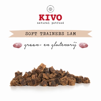 Kivo Soft Trainers Lam